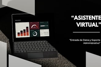 entrada de datos y asistencia virtual profesional