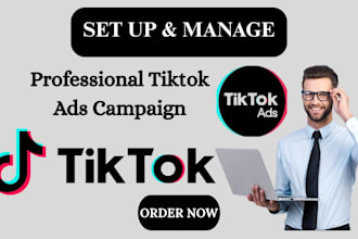run tiktok ads campaign, manage tiktok ads for advertisment