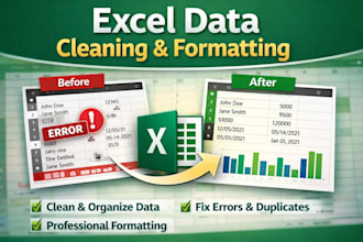 do professional data cleaning and formatting