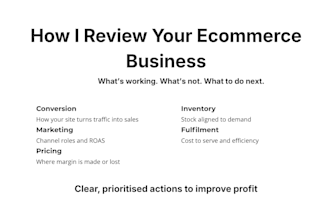 audit your shopify ecommerce store to improve conversion and profit