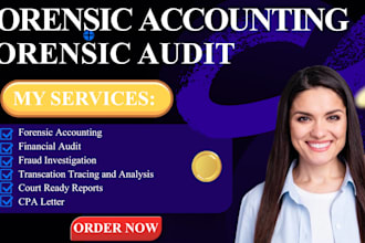 perform forensic accounting, financial audits, investigate fraud investigation