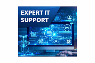expert IT support for windows systems