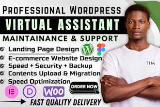 virtual assistant wordpress maintenance woocommerce assistant wordpress manager