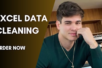do excel data cleaning, data analysis and data visualization