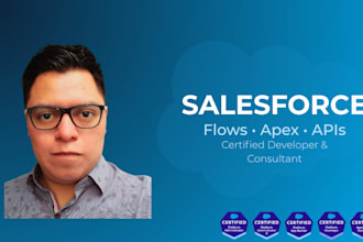 fix and build salesforce flows, apex, and apis