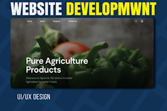 build or rebuild ai business website full stack website development blog design