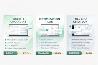 do a conversion rate optimization audit and website funnel analysis