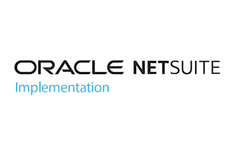 perform a netsuite implementation for a business area