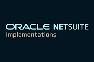 perform netsuite implementation for an operational area