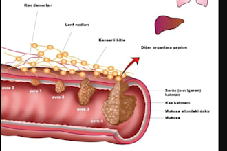 design medical illustrations, patient education and infographics for healthcare