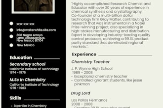 make any kind of resume you prefer well tailored and stylish