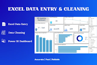 do data entry, cleaning, excel and power bi dashboards