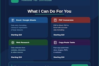do fast and accurate data entry, excel spreadsheet, and PDF conversion tasks