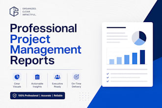 write professional project management and status reports