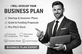 develop business plan for starter, investor business plan, grant with pitch deck