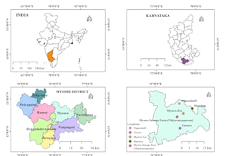 deliver gis projects and train you in qgis arcgis, and gee