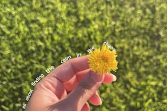 text overlay on photo