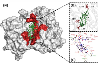 do molecular docking and protein ligand binding analysis