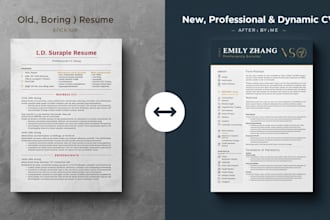 write a professional CV, resume and motivation letter