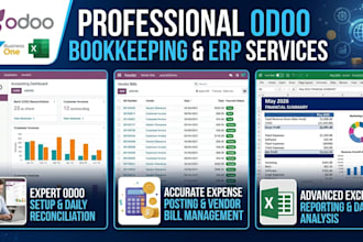 be your professional odoo and excel accountant and bookkeeper