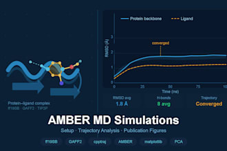 run amber molecular dynamics simulations with full trajectory analysis