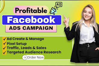set up and manage facebook and meta ads campaign