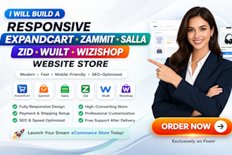 build a responsive expandcart zammit salla zid wuilt  wizishop website store