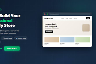 build a professional shopify store with custom design and setup