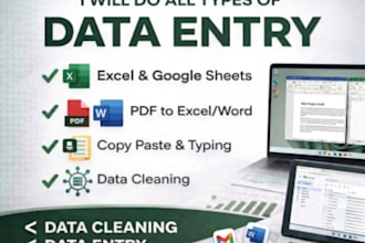 all data entry, excel and cleaning