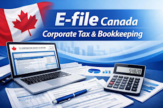 efile canada corporation tax, t2 canada as CPA business tax canada bookkeeping