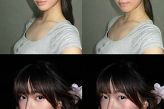 the art of manual retouching