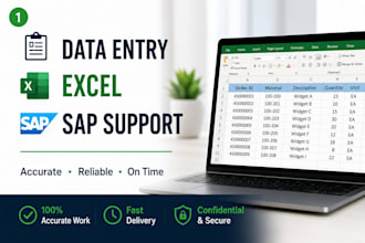 provide sap sd mm support and master data assistance