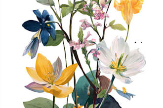 design vintage botanical illustration