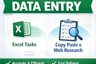 do accurate data entry and excel tasks fast