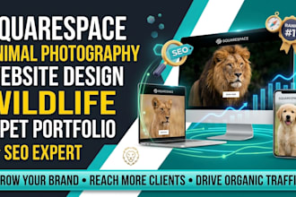squarespace animal photography website design wildlife pet portfolio seo expert