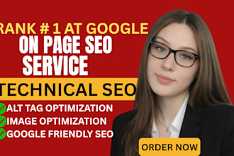 provide monthly SEO with onpage offpage and keyword research