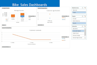create professional excel dashboards with behavioral data insights