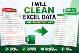 clean and organize excel and CSV data professionally