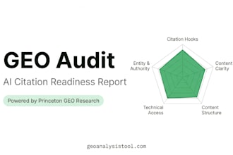 provide a professional GEO audit to improve your ai search visibility