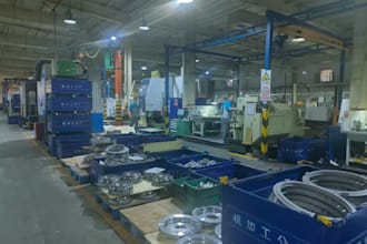 verify your factory in dongying china as your local agent