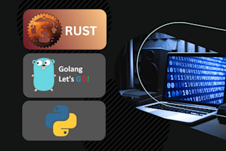 do rust, go and python programming projects and tasks for you