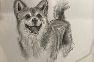 draw a realistic pencil or charcoal portrait from your photo