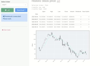 build a professional financial model and dcf business valuation