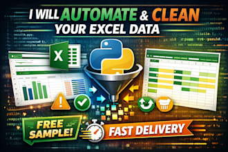 clean, merge, and organize your excel data with python
