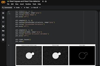 do image and signal processing by using matlab and python