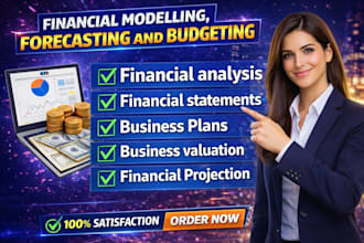 build excel financial models, forecasting, budget, analysis reports, projections