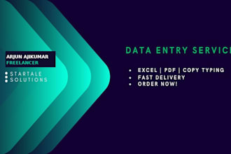 do fast and accurate data entry, excel and PDF conversion