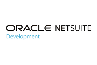 perform netsuite development using a netsuite API