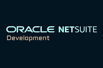 perform netsuite development using a netsuite API