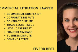 create professional complaints for fraud, trade secrets, and commercial disputes